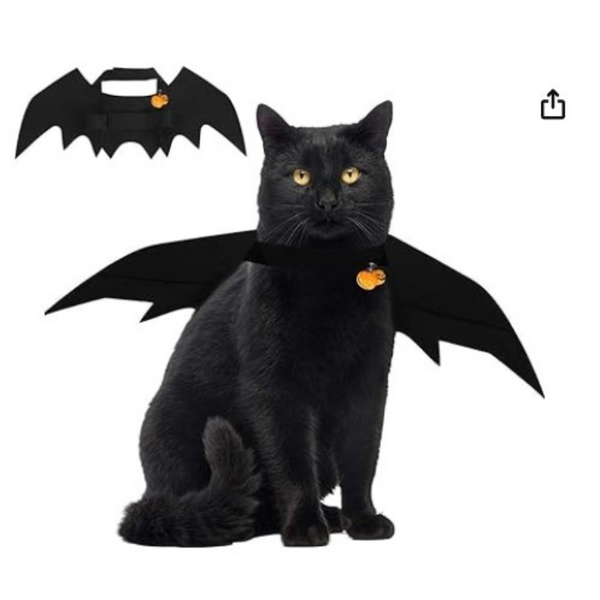 Cat Halloween Costume Bat Wings