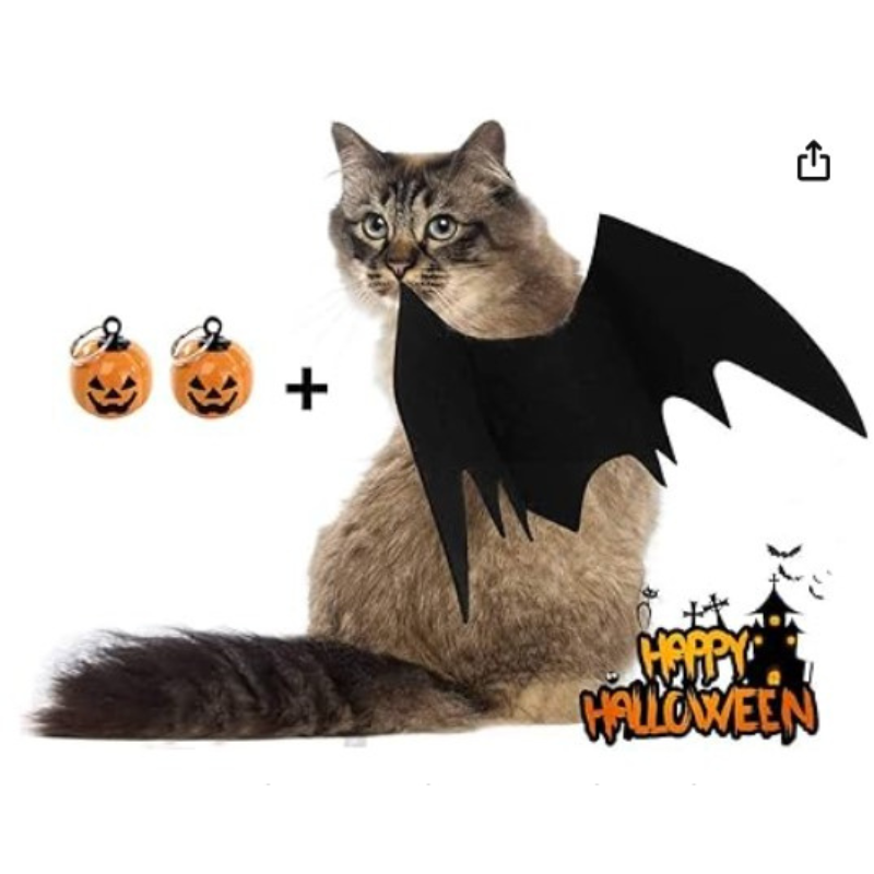 Costume d'Halloween pour chat, ailes de chauve-souris