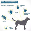 COLLAR™ - Flea And Tick Collar For Dogs & Cats