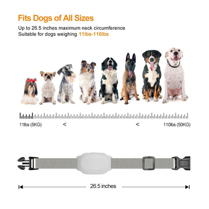 Pet Dog Training Collar Shock