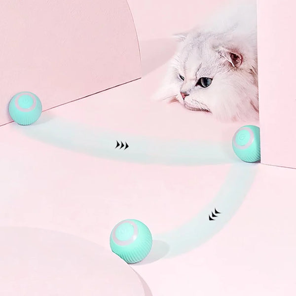 Interactive Toys for Cats