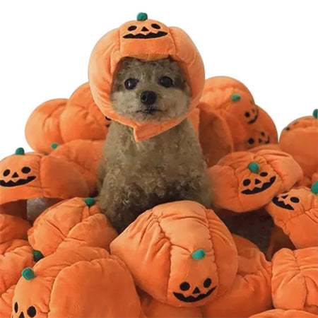 Cute Pet Pumpkin Hat Halloween