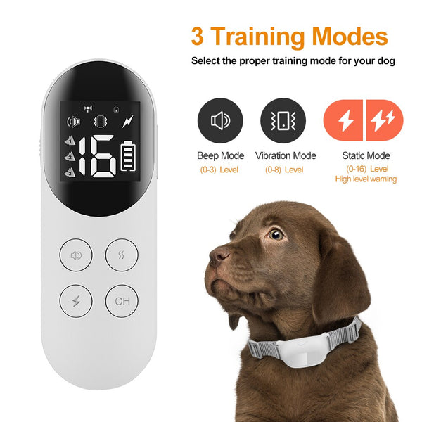 Pet Dog Training Collar Shock
