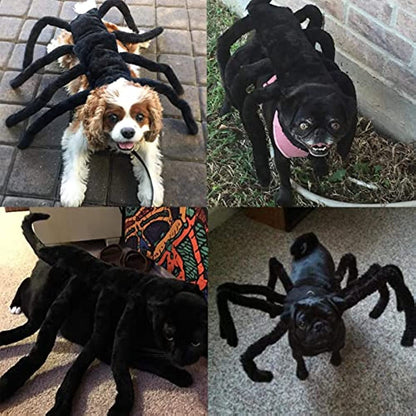 Funny Spider Costume Halloween Party