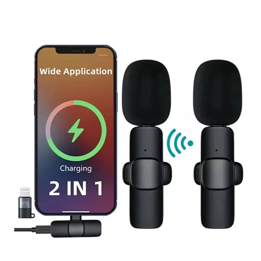 2-in-1-Mikrofon, tragbare Audio-Video-Aufnahme