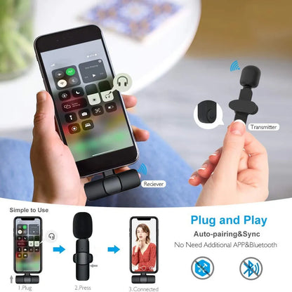 2 in 1 Microphone Portable Audio Video Recording