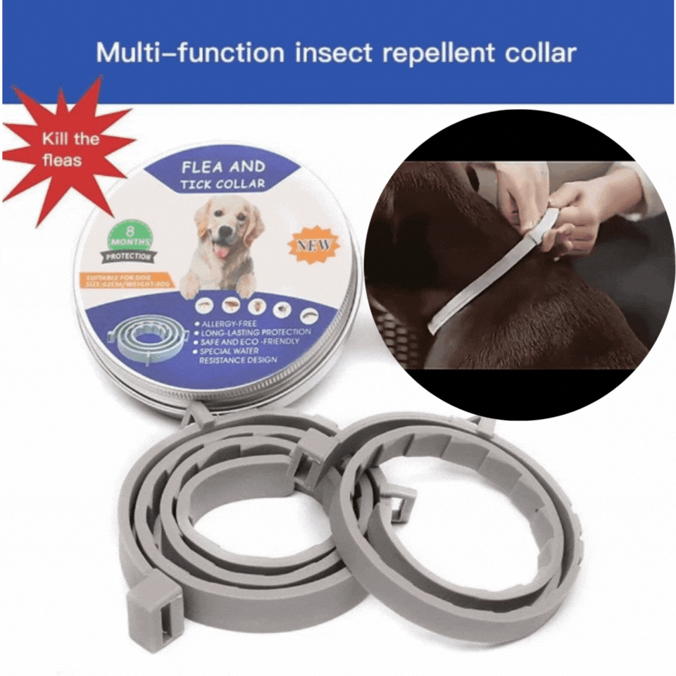 COLLAR™ - Collier anti-puces et antitiques pour chiens et chats