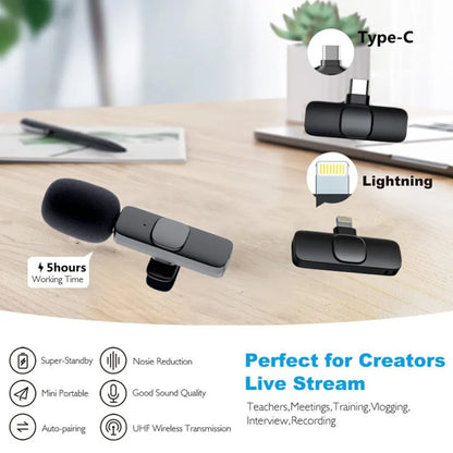 2 in 1 Microphone Portable Audio Video Recording