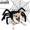 Funny Spider Costume Halloween Party