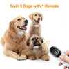 Pet Dog Training Collar Shock