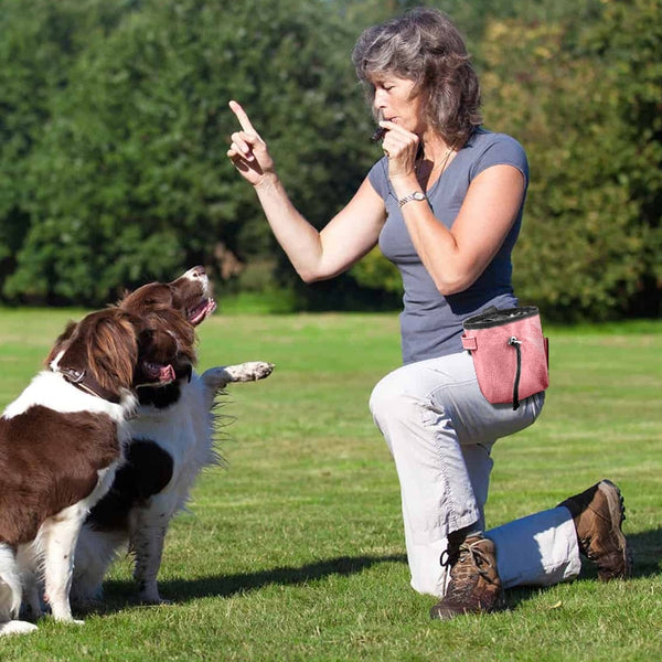 Pet Training Purse Treat Bag
