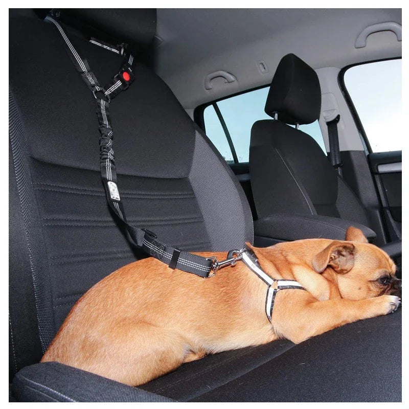 Ceinture de sécurité réglable deux en un pour voiture pour animaux de compagnie