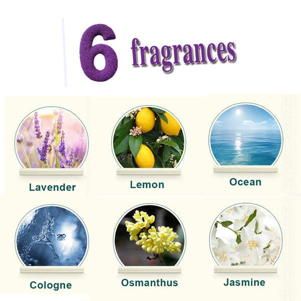 Car Air Freshener Holder Fragrance - Bettylis