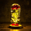 LED Rose in Glas - Bettylis