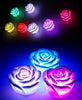 Hot 7 Colors  relaxdays roses