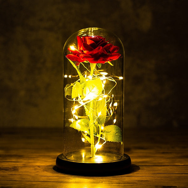 LED Rose in Glas - Bettylis