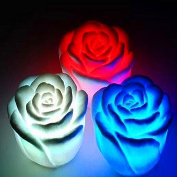 Hot 7 Colors  relaxdays roses