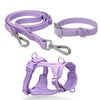 Waterproof PVC Pet Dog Leash Small and Medium-sized Dog Bite-proof Chest Strap Dog Leash Wholesale